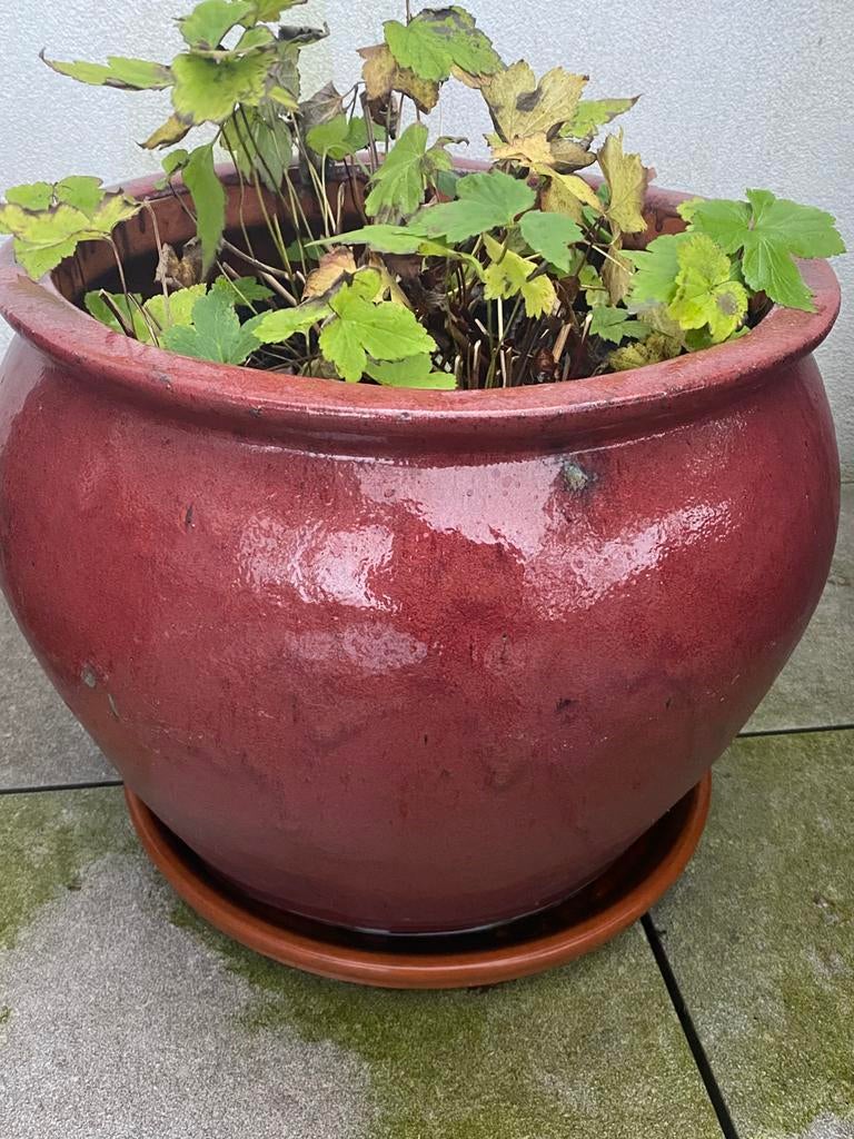 Pots et bacs à fleurs en terre-cuite, Eternit et émaillés, Enlèvement, Comme neuf