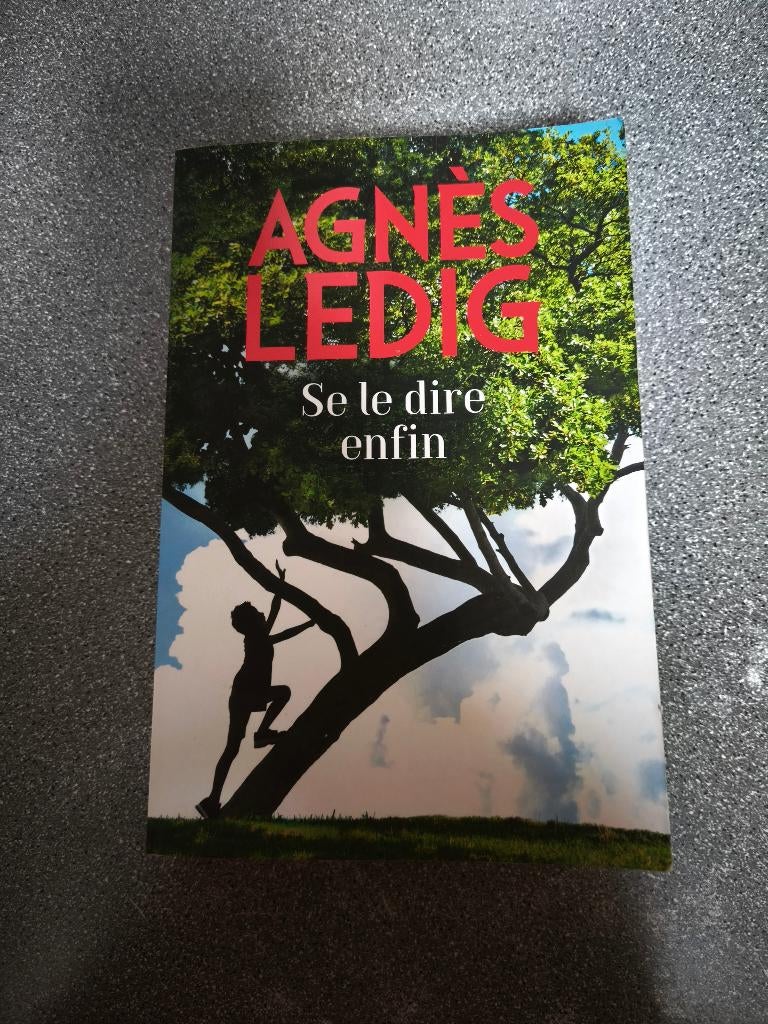 AGN7S LEDIG "Se le dire enfin", Livres, Enlèvement, Utilisé, Agnès Ledig