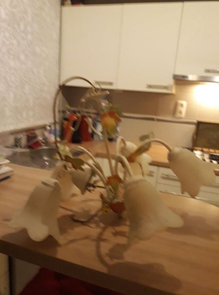 Lustre à branches (2 pièces), Enlèvement, Utilisé