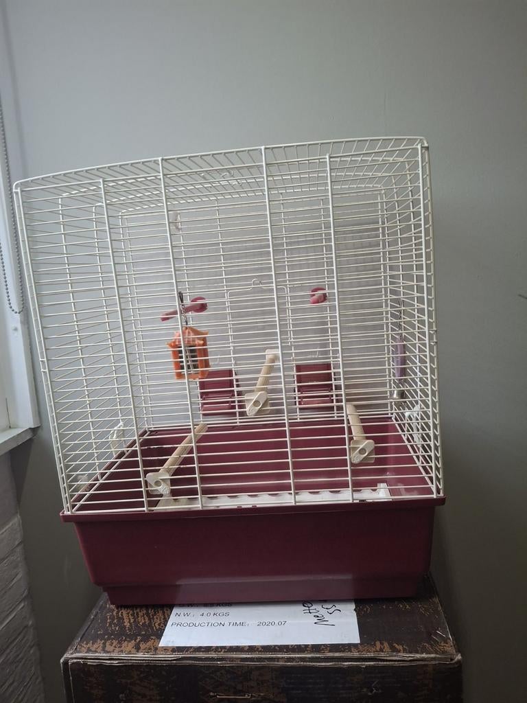 Vogelkooi, Dieren en Toebehoren, Ophalen of Verzenden