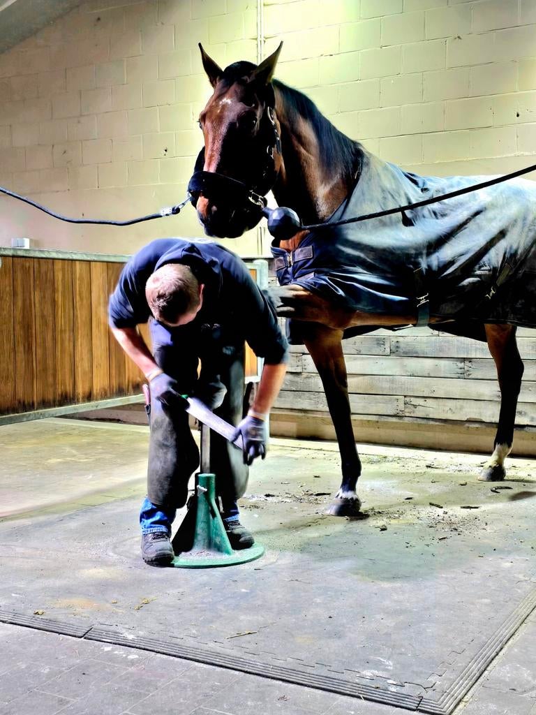 Hoefsmid ( bekapper )aangeboden, Dieren en Toebehoren, Paarden