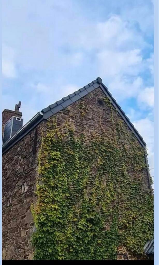 Couvreur 35 ans d'expérience, Doe-het-zelf en Bouw, Overige Doe-Het-Zelf en Bouw, Ophalen of Verzenden