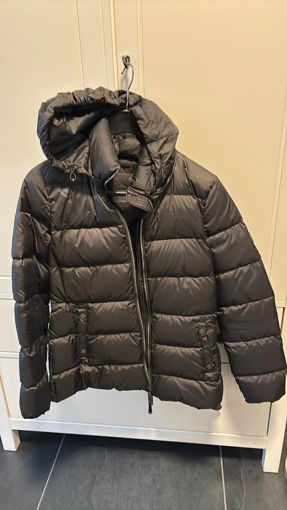 Donkergrijze winterjas Massimo Dutti (M), Massimo Dutti, Zo goed als nieuw, Grijs, Ophalen