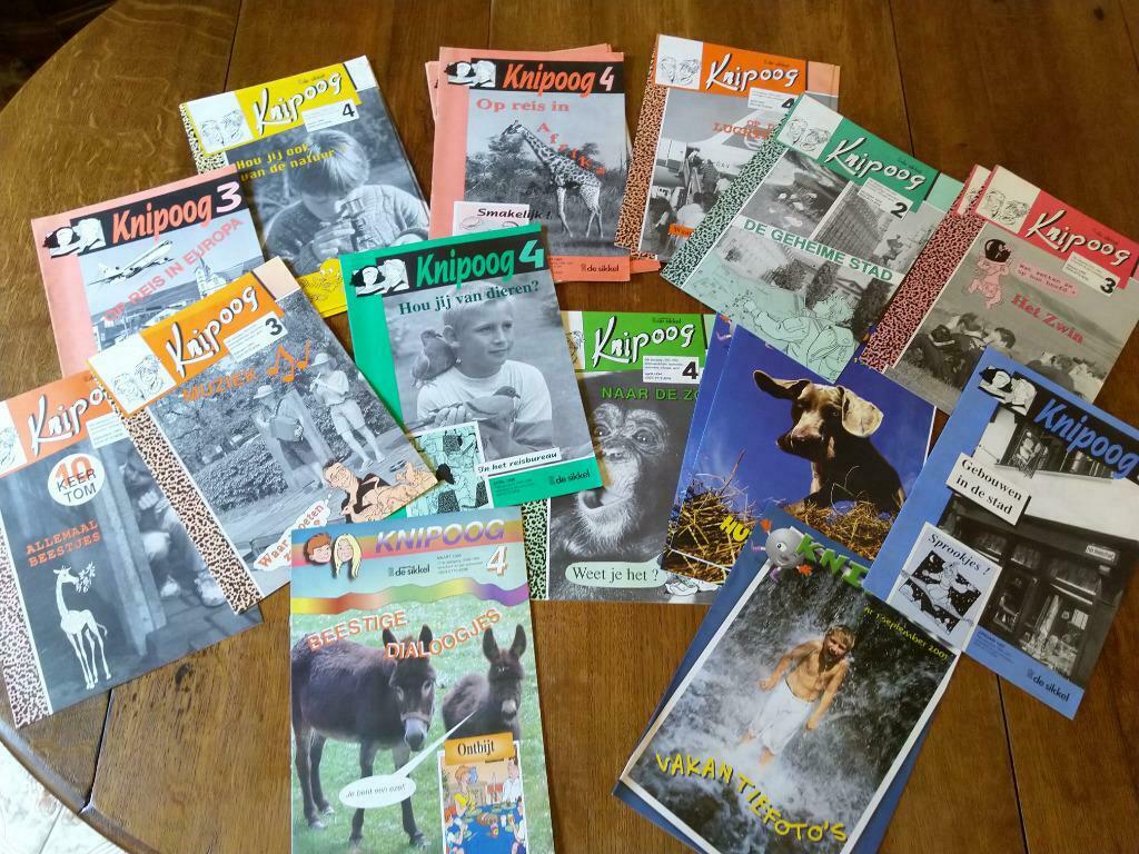 KNIPOOG Nederlands voor primair onderwijs, Boeken, Schoolboeken, Ophalen of Verzenden, Nieuw, BSO, Nederlands