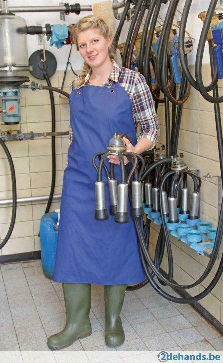 Melkveehouderij toebehoren, Agrodieren de beste prijzen, Ophalen of Verzenden, Veehouderij, Overige typen