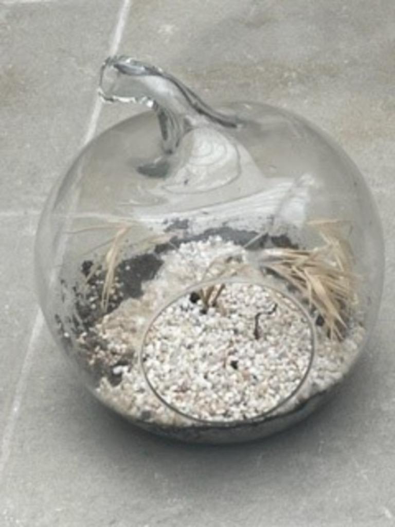 Decoratieve glazen appel voor plantjes, Ophalen, Glas