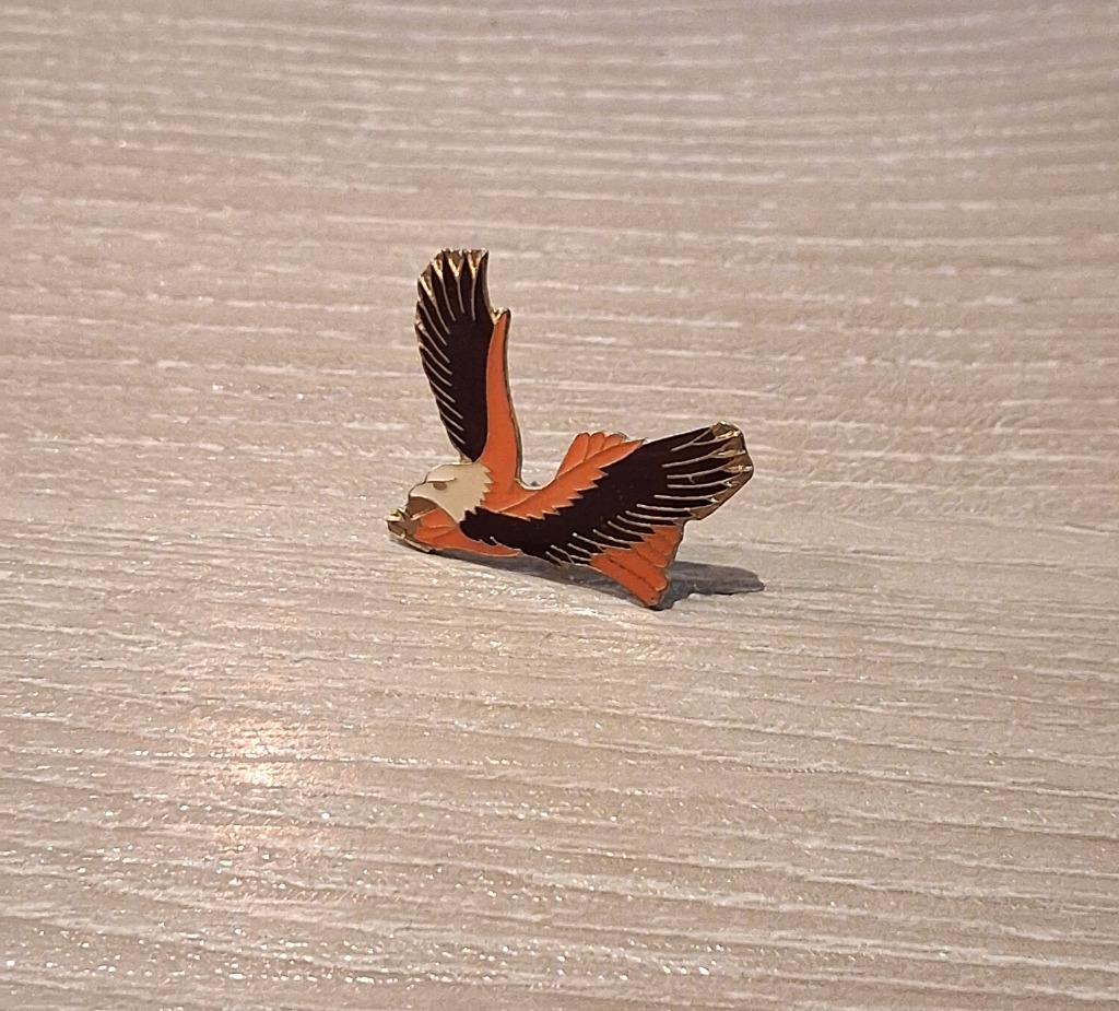 PIN - ROOFVOGEL - BIRD OF PREY - VOGEL - OISEAU DE PROIE, Envoi, Utilisé, Animal et Nature, Insigne ou Pin's
