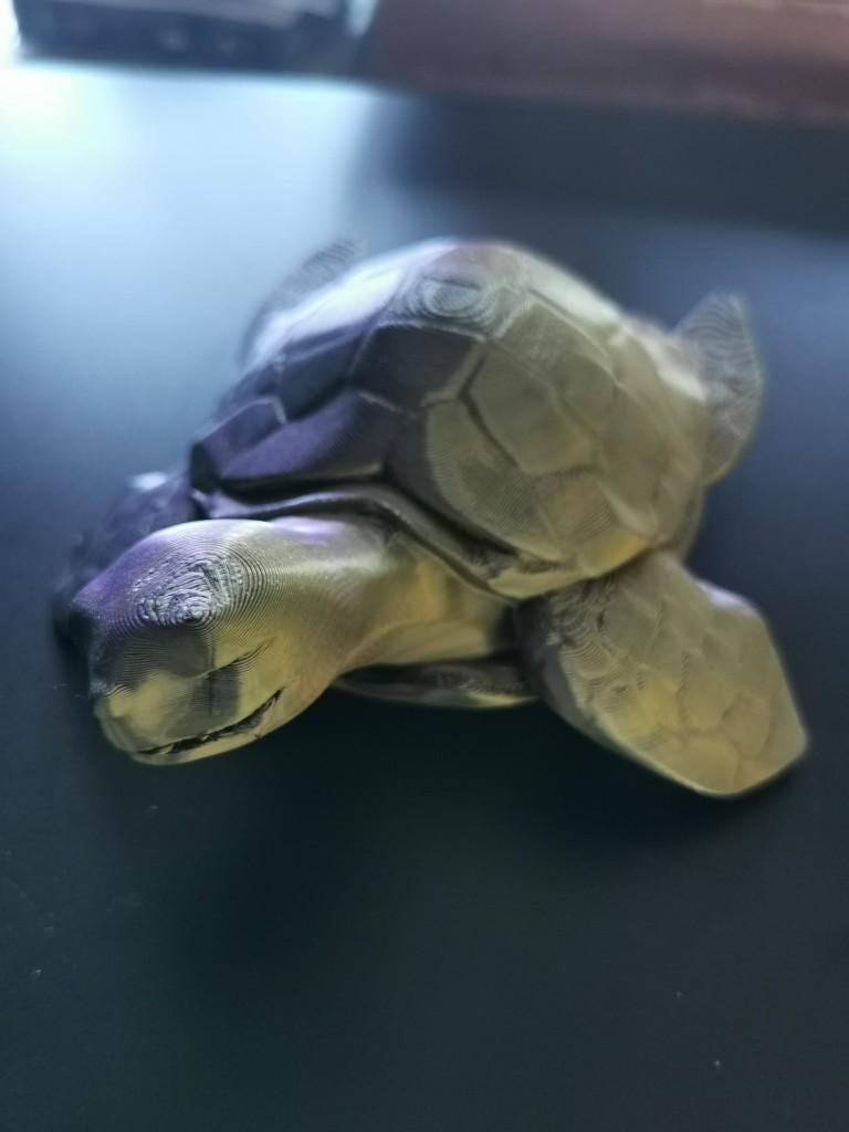 3D geprinte schildpad, Ophalen of Verzenden, Nieuw