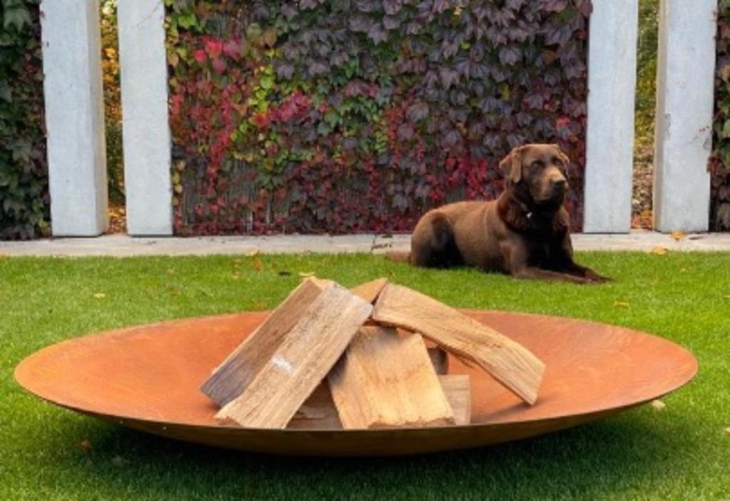 50% korting op vuurschaal. 80 cm & 120 cm, Tuin en Terras, Ophalen, Nieuw