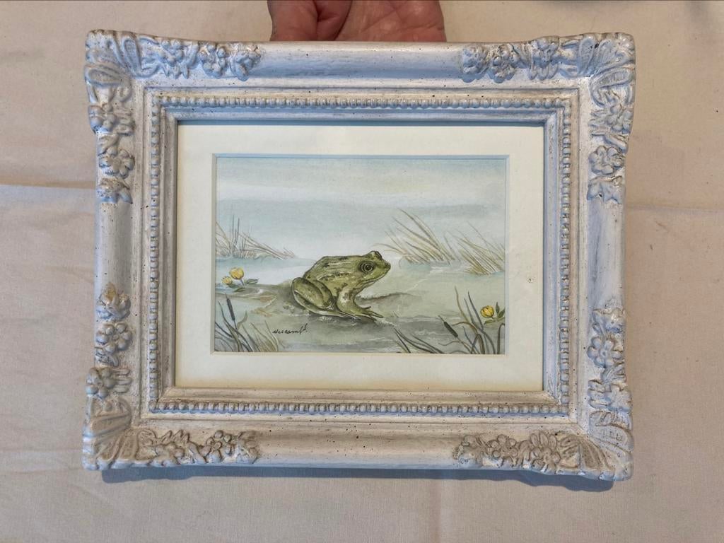 Aquarelle grenouille, Antiquités & Art, Enlèvement ou Envoi