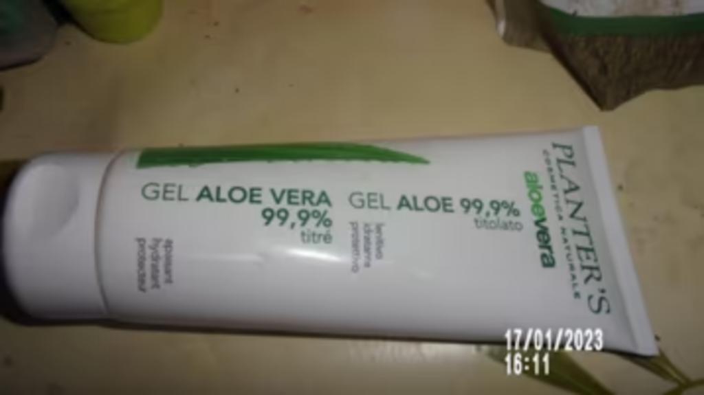 Aloë vera-buizen, Ophalen of Verzenden, Nieuw