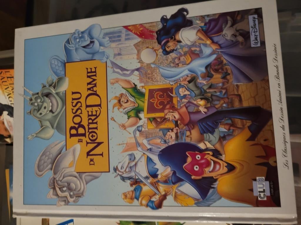 Livres de dessin animé, Ophalen of Verzenden, Gelezen