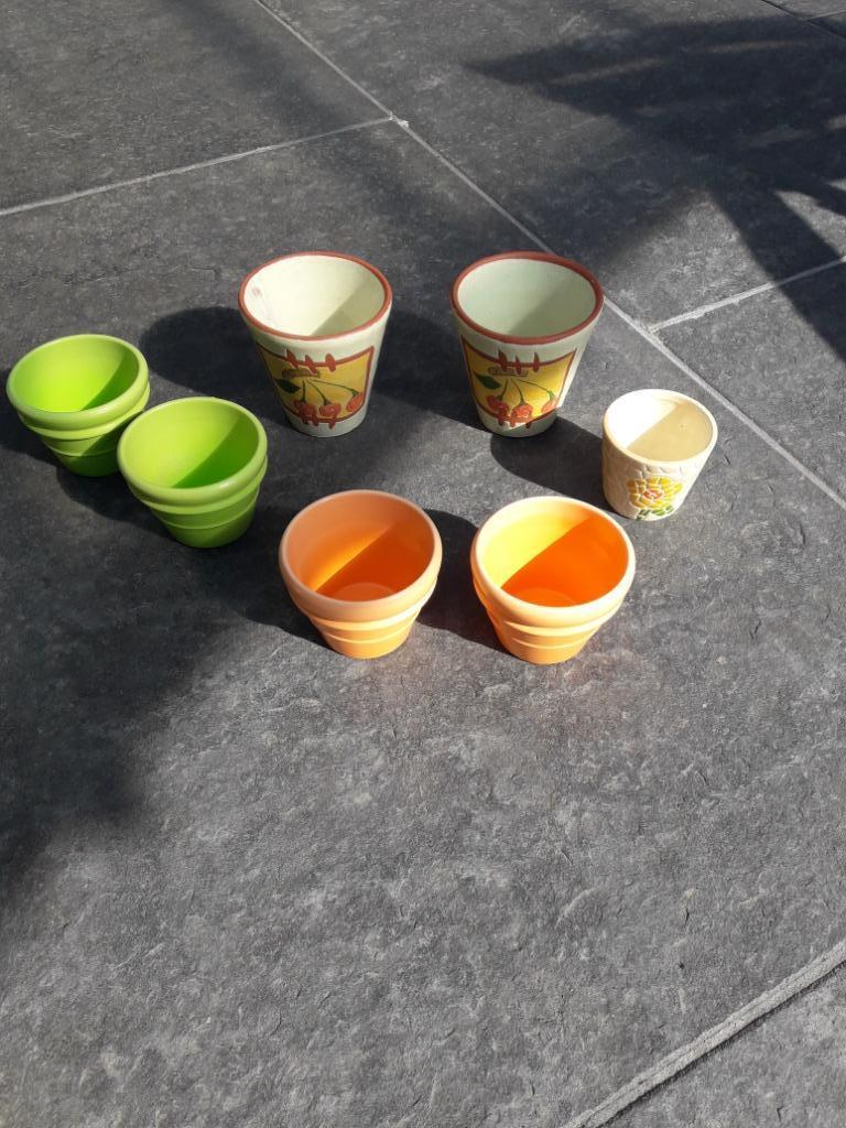 Pots à cactus, Enlèvement ou Envoi, Cactus, Moins de 100 cm