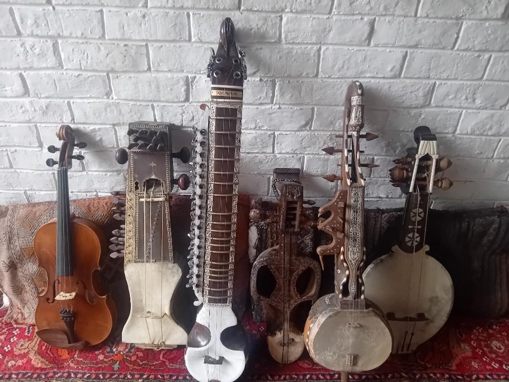 Professionele Esraj Indische viool, Muziek en Instrumenten, Ophalen of Verzenden, Zo goed als nieuw