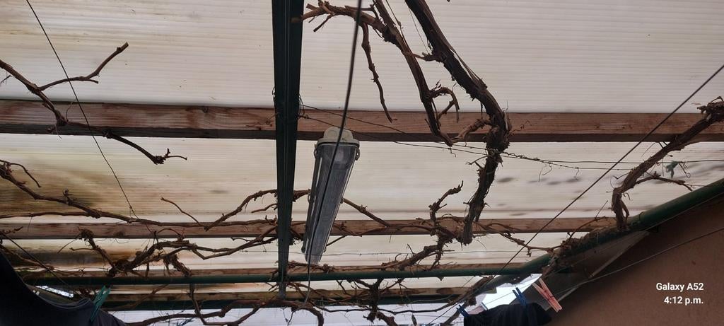 Polycarbonaat platen, Ophalen, Veranda