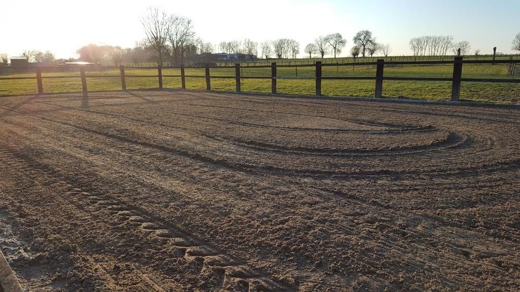 Kleinschalig paardenpension Viane/Galmaarden/Deux-Acren, Weidegang