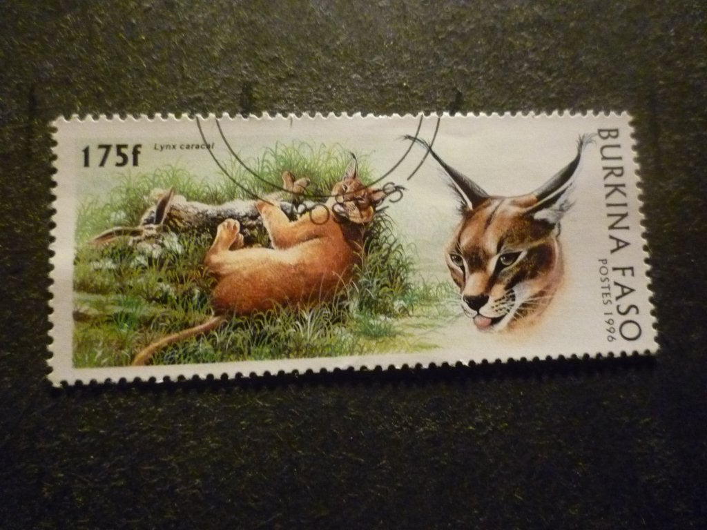 Burkina Faso 1996 Mi 1439(o) Gestempeld/Oblitéré, Postzegels en Munten, Verzenden, Gestempeld
