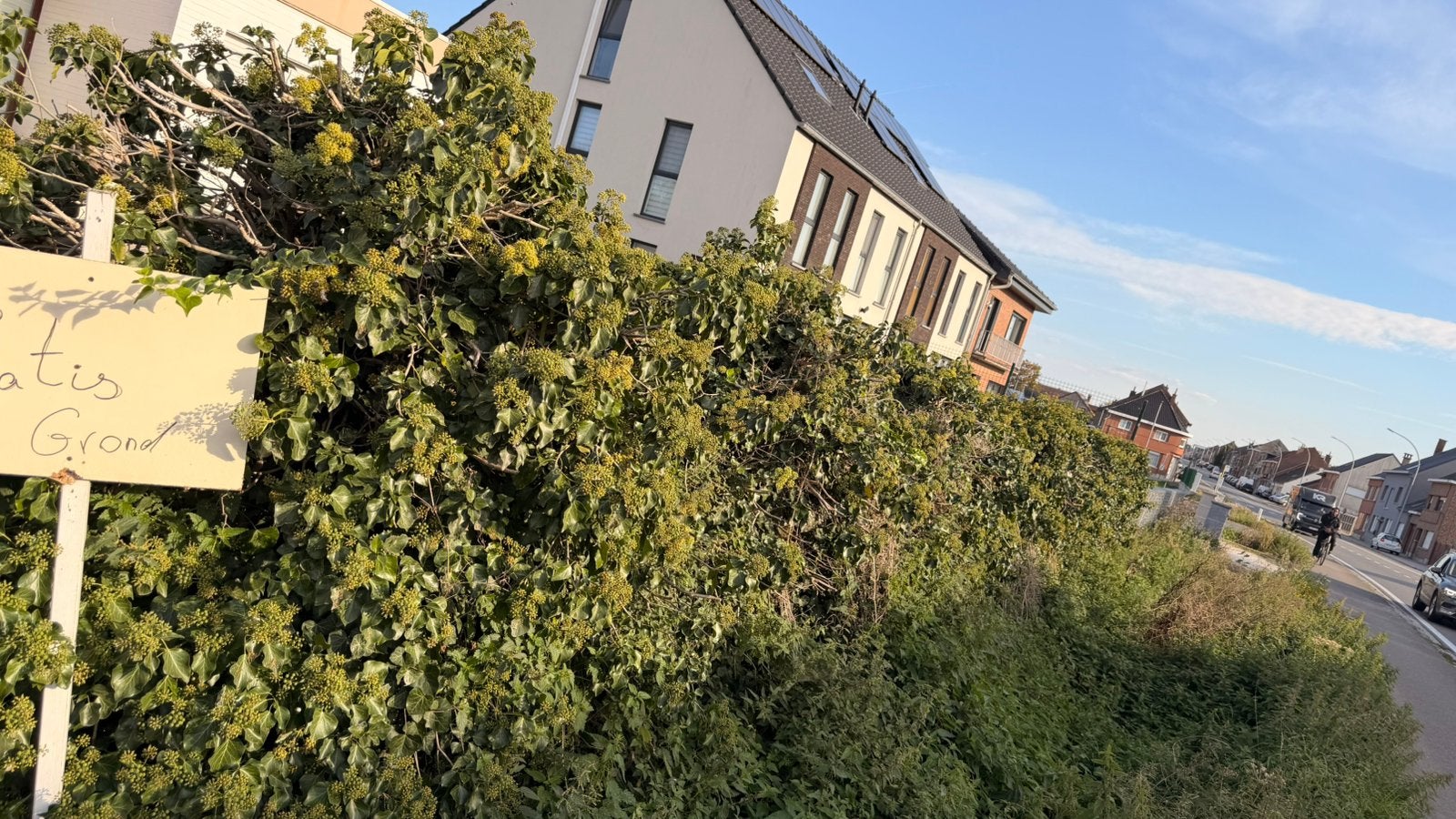 Plantes gratuites, Ophalen