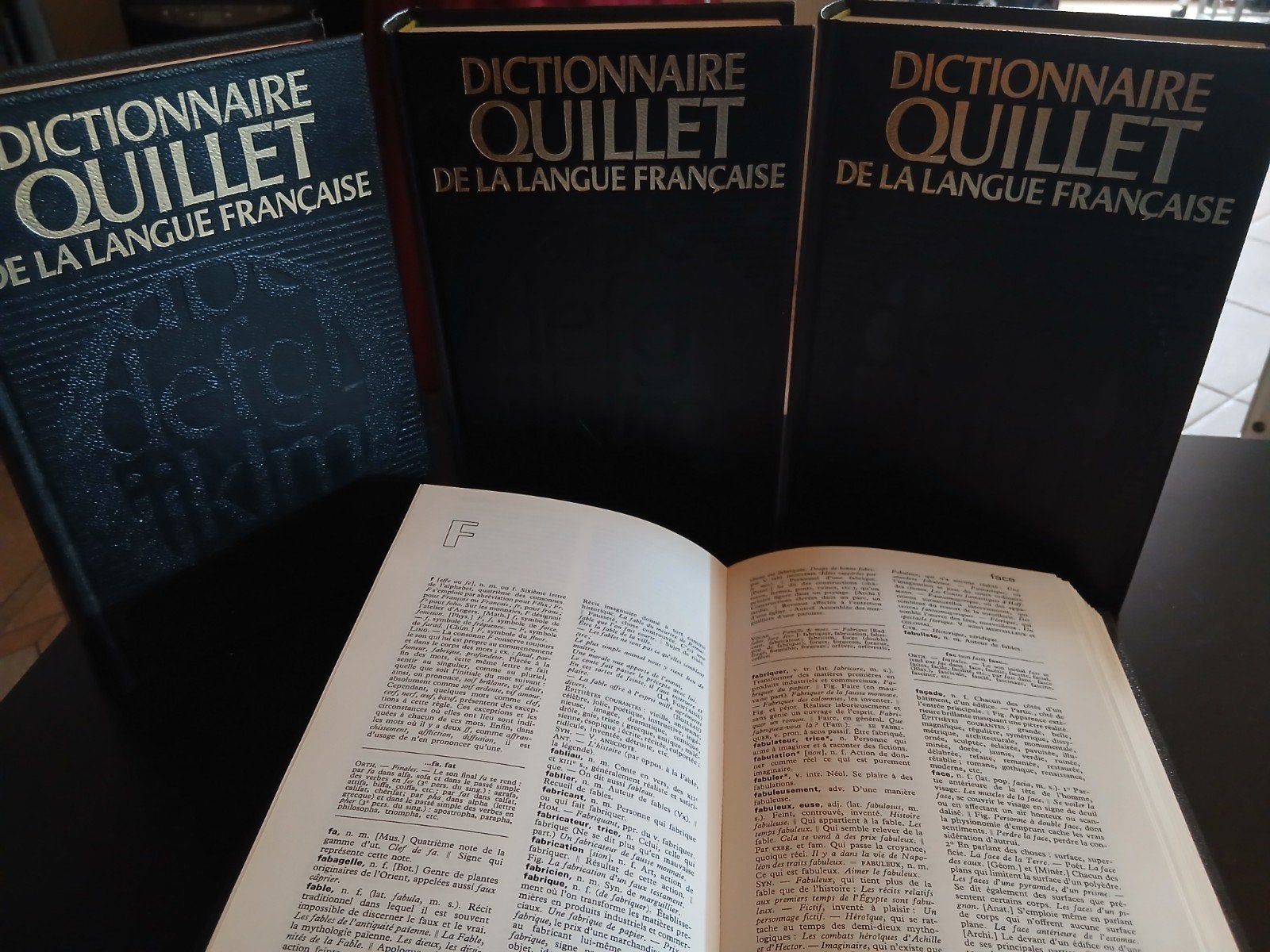 Dictionniare quillet de la kangue française, Livres, Série complète, Enlèvement, Général, Comme neuf