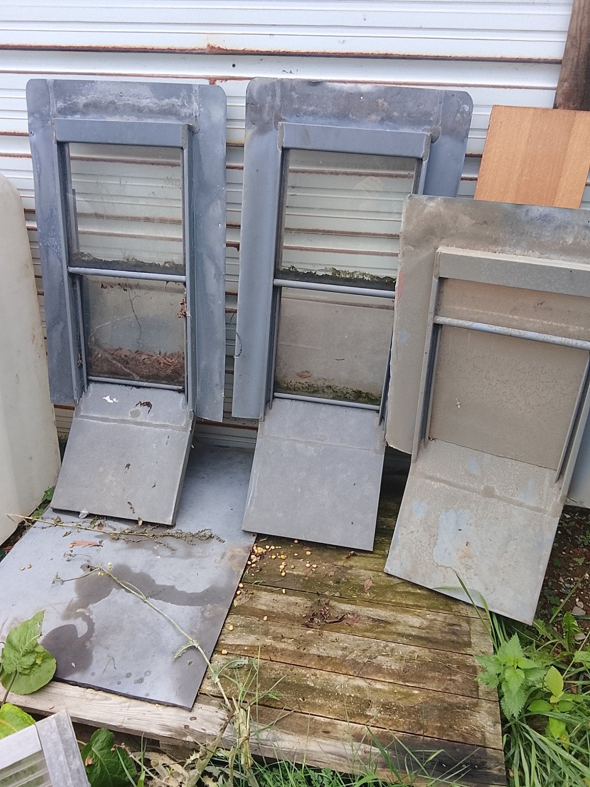 duiven spoetniks, Dieren en Toebehoren, Pluimvee