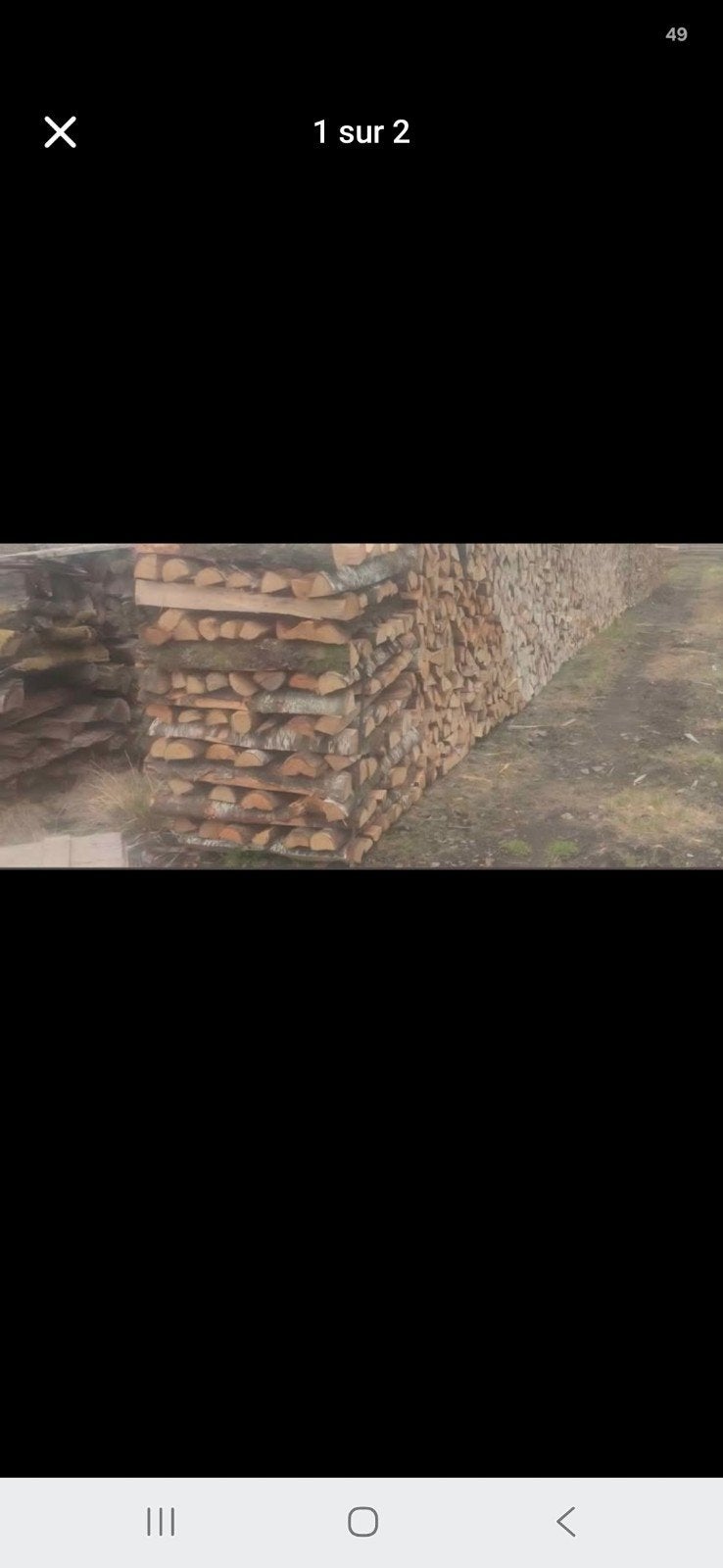 bois de chauffage, Jardin & Terrasse, 6 m³ ou plus, Enlèvement, Frêne