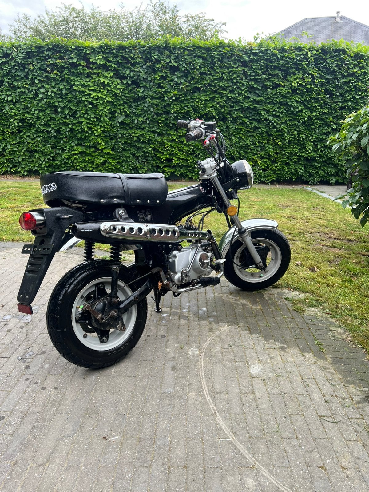Zehnua DAX 50cc 2012