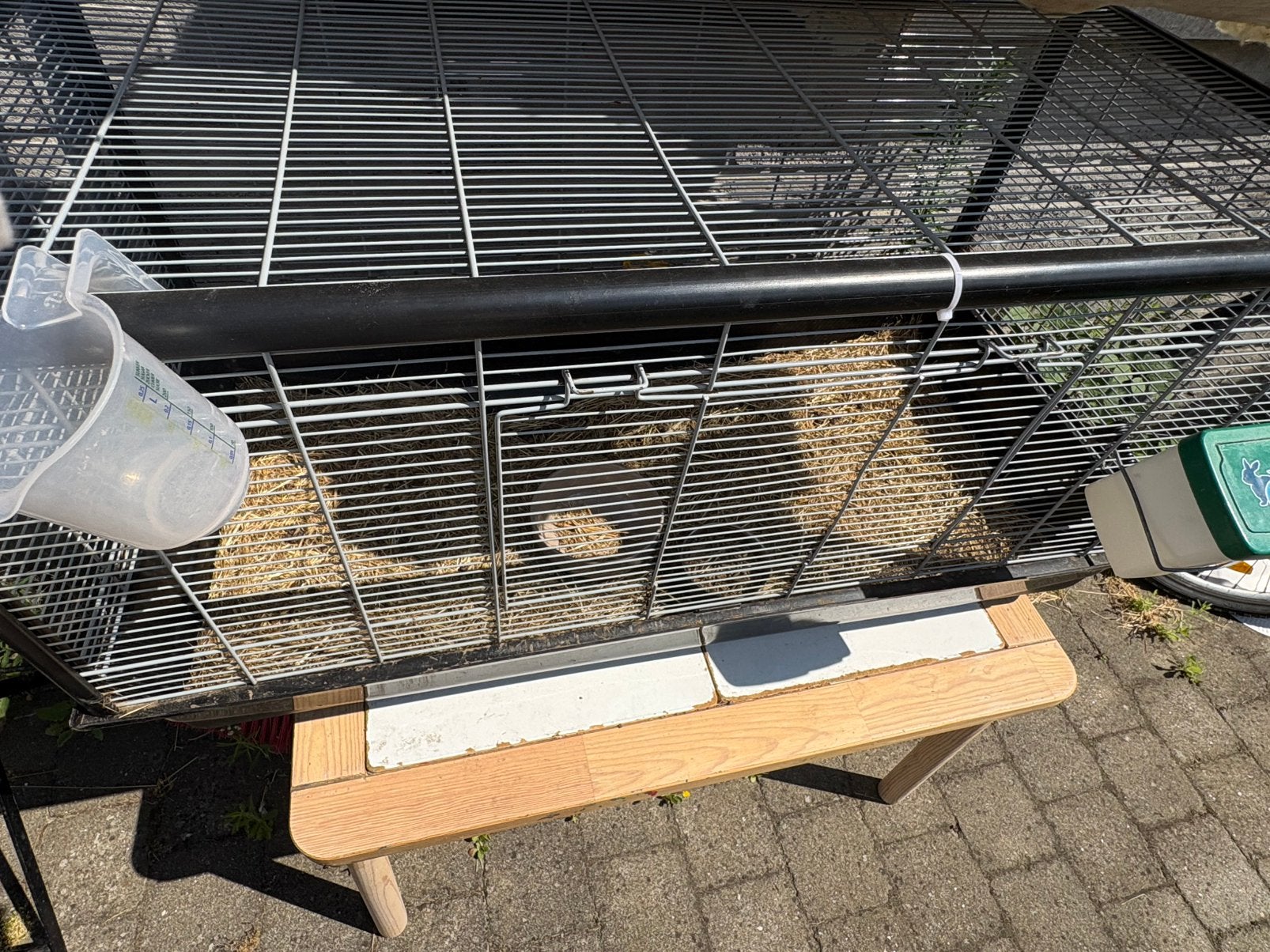Konijnen kooi + ren, Dieren en Toebehoren, Ophalen, Zo goed als nieuw, Kooi