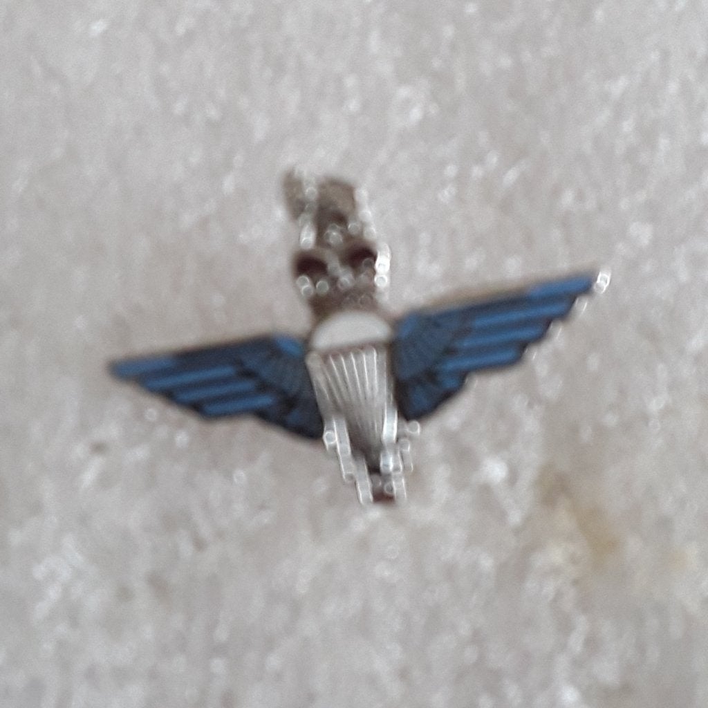 Insigne de boutonnière para-commando, Envoi