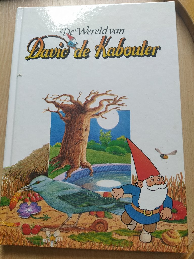 boek: David de kabouter + Kabouter Korsakov, Ophalen of Verzenden, Gelezen, Sprookjes