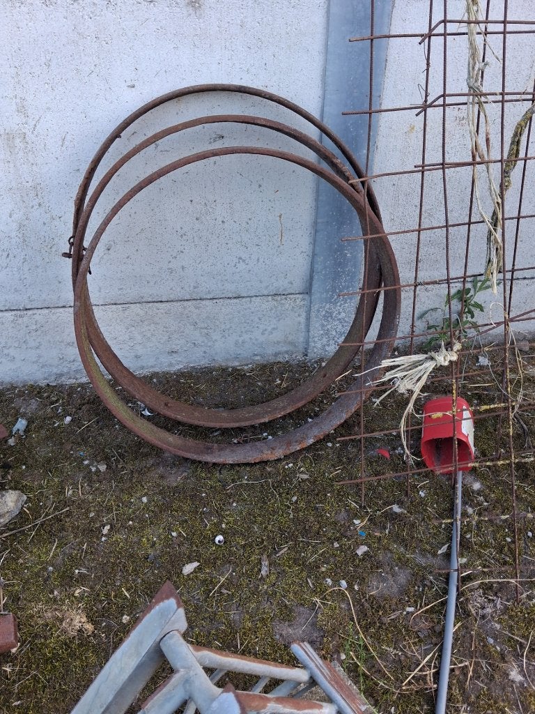 Hoepels ijzeren, Weidegang