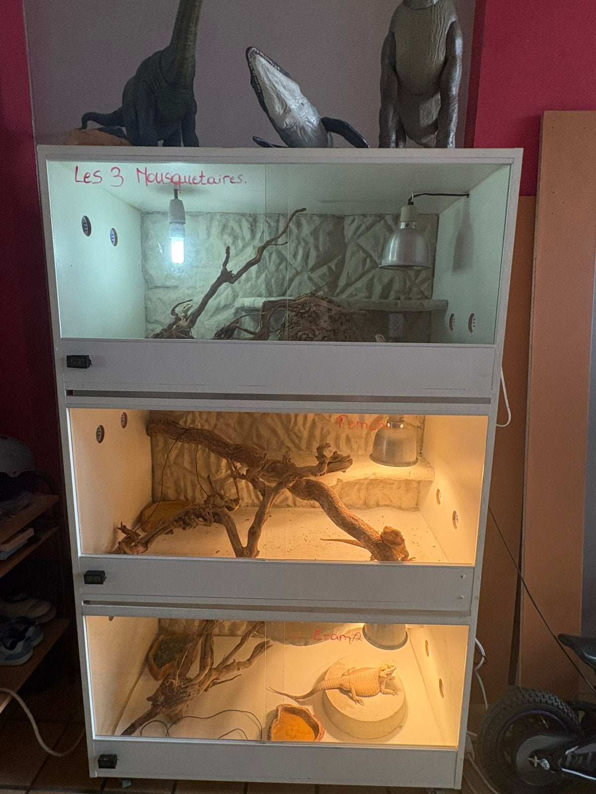 Batterie de 3 terrarium, Enlèvement, Comme neuf