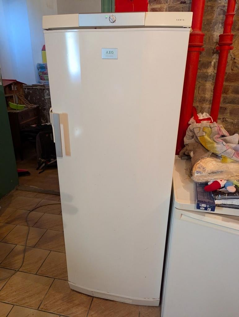 Réfrigérateur AEG Electrolux Santo 750 L, Electroménager, Sans bac à congélation, Utilisé, 200 litres ou plus, 60 cm ou plus