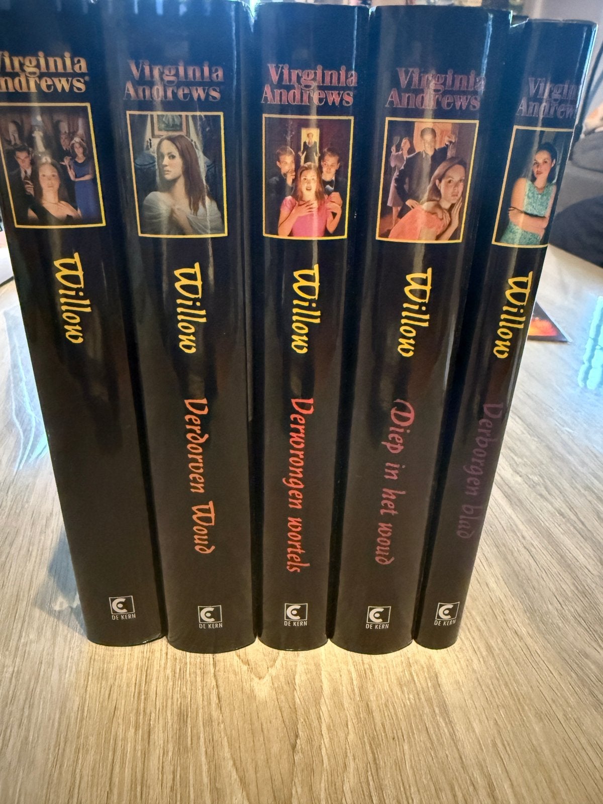 Boeken Virginia Andrews - Willow serie, Enlèvement, Utilisé, Belgique