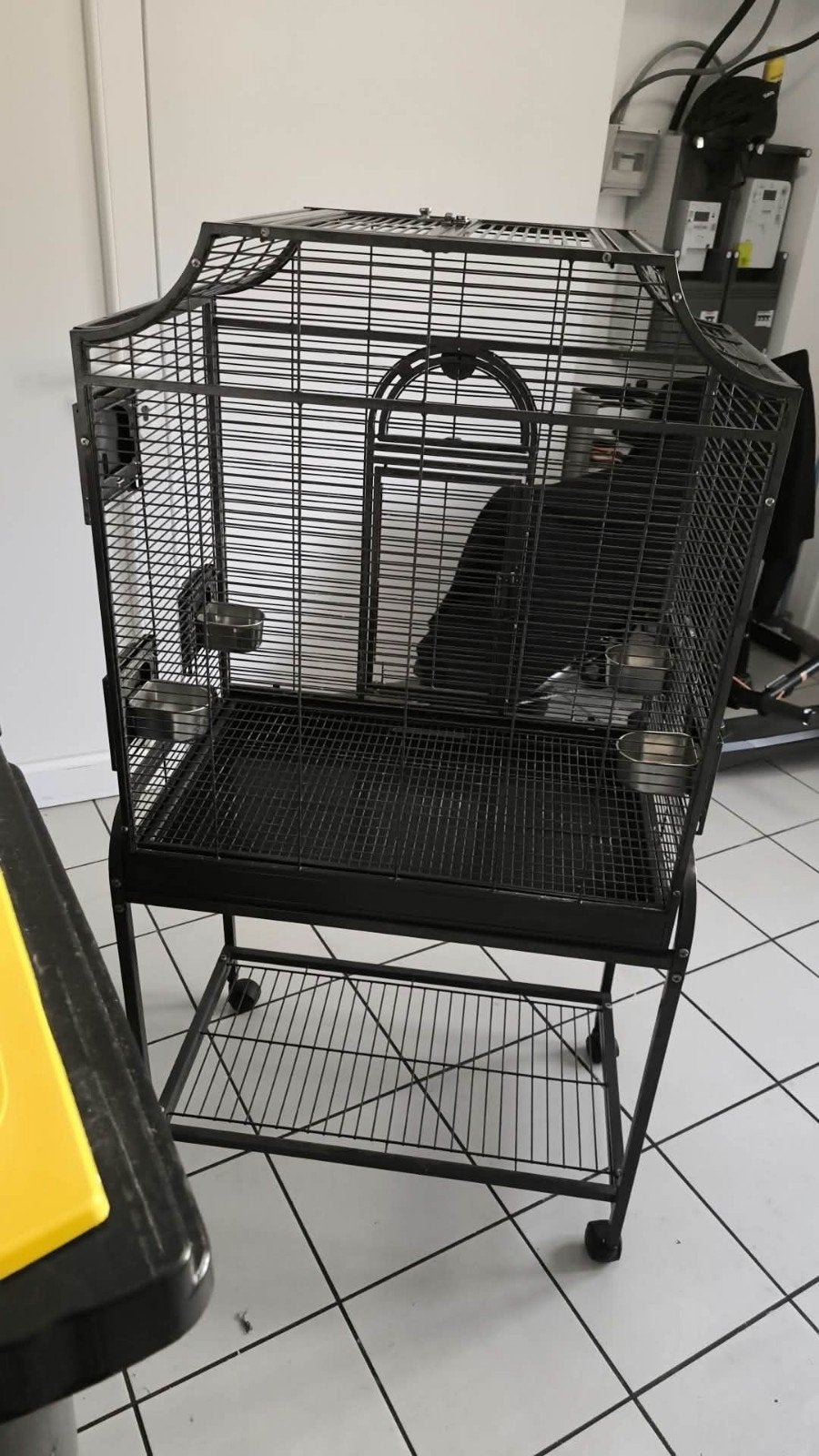 cage oiseau, Animaux & Accessoires, Enlèvement