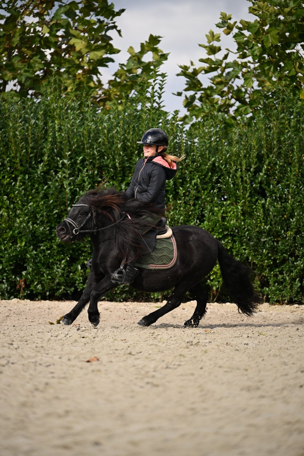 Mega schattige lieve shetlander merrie, Dieren en Toebehoren, Merrie, Met stamboom, Zadelmak, A pony (tot 1.17m)