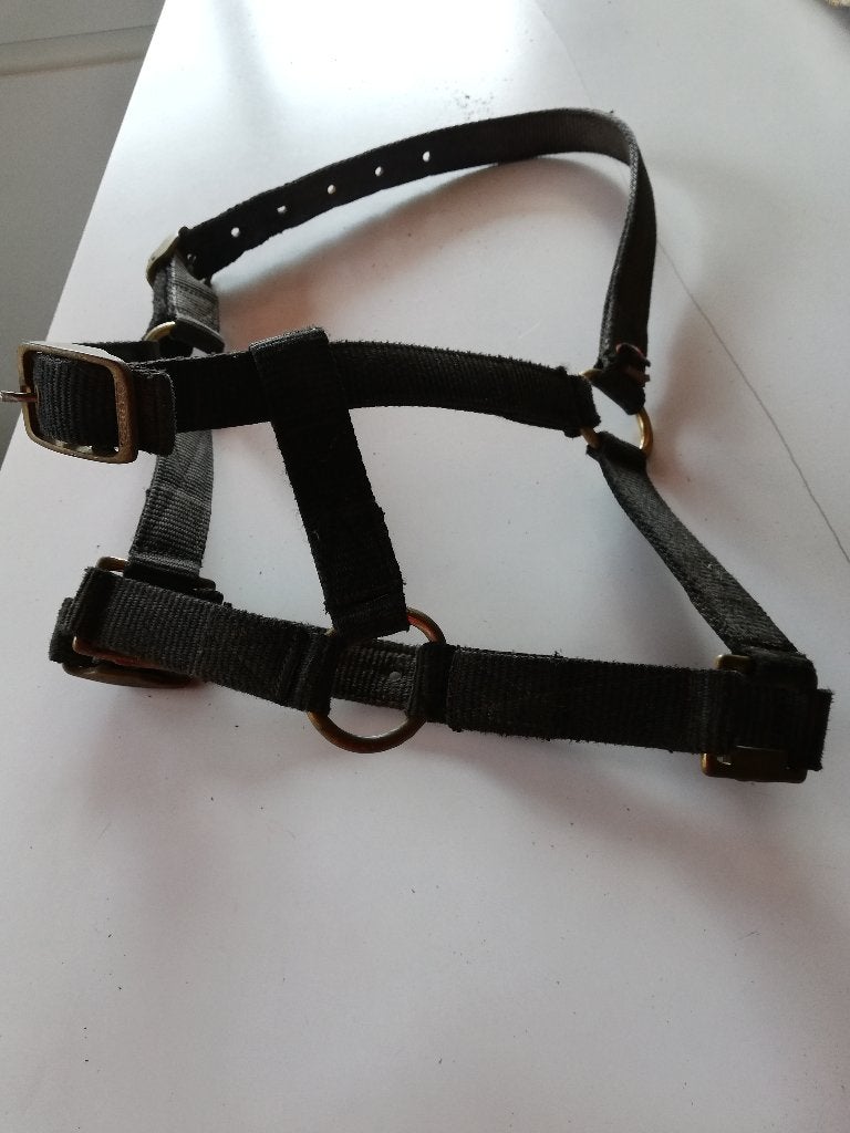 2 halsters en zweepje, Dieren en Toebehoren, Ophalen of Verzenden, Zo goed als nieuw, BR, Halster