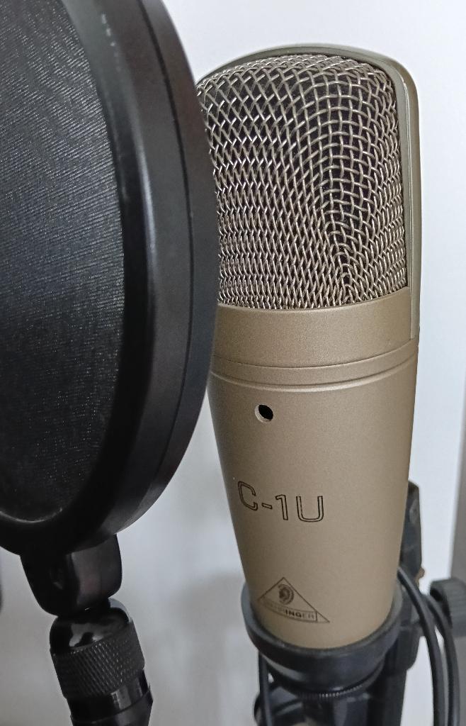 Behringer C-1U USB Microfoon, Muziek en Instrumenten, Microfoons, Ophalen, Gebruikt, Studiomicrofoon
