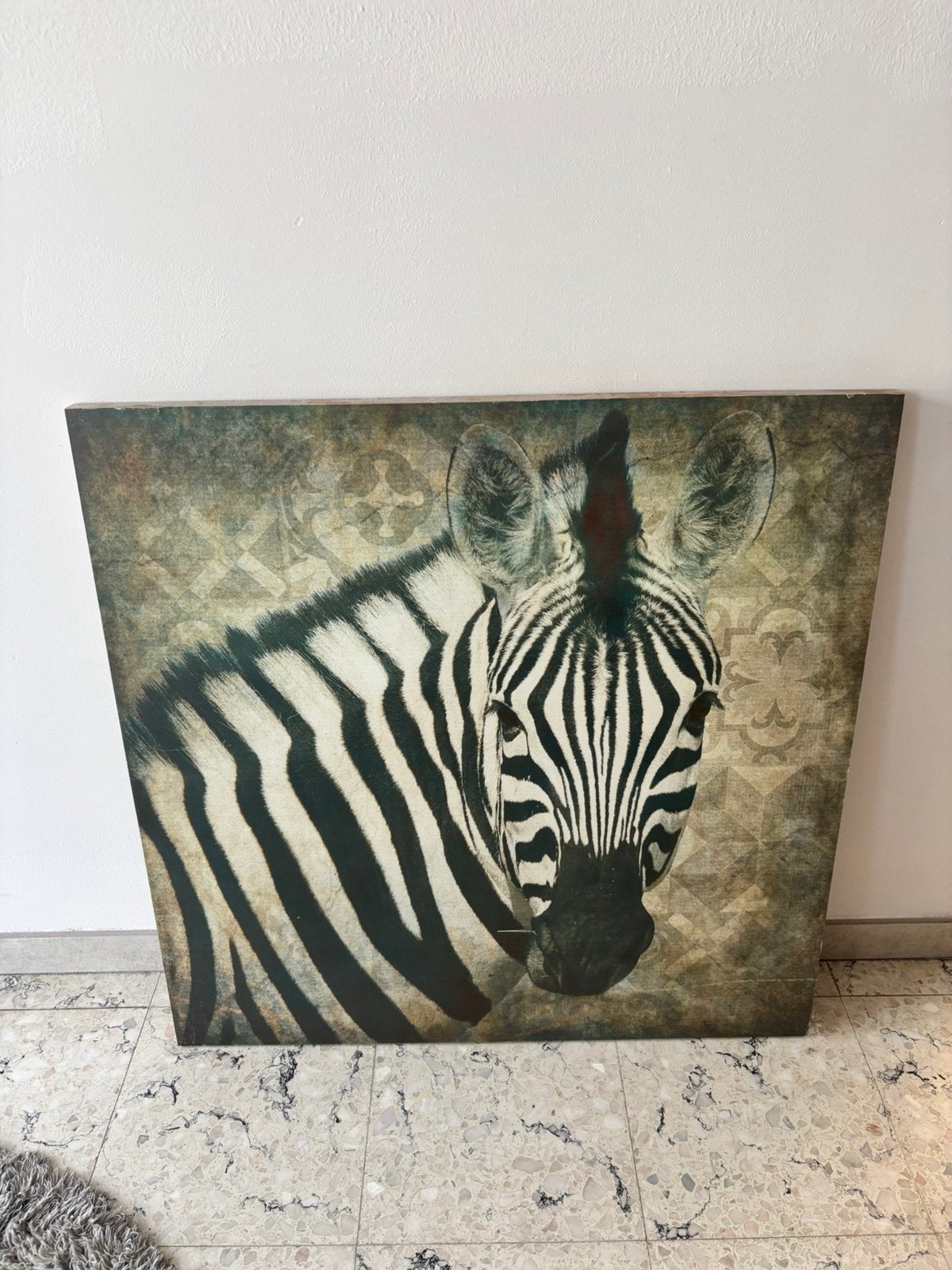 Decoratief Houten wandbord met zebra, Antiek en Kunst, Ophalen