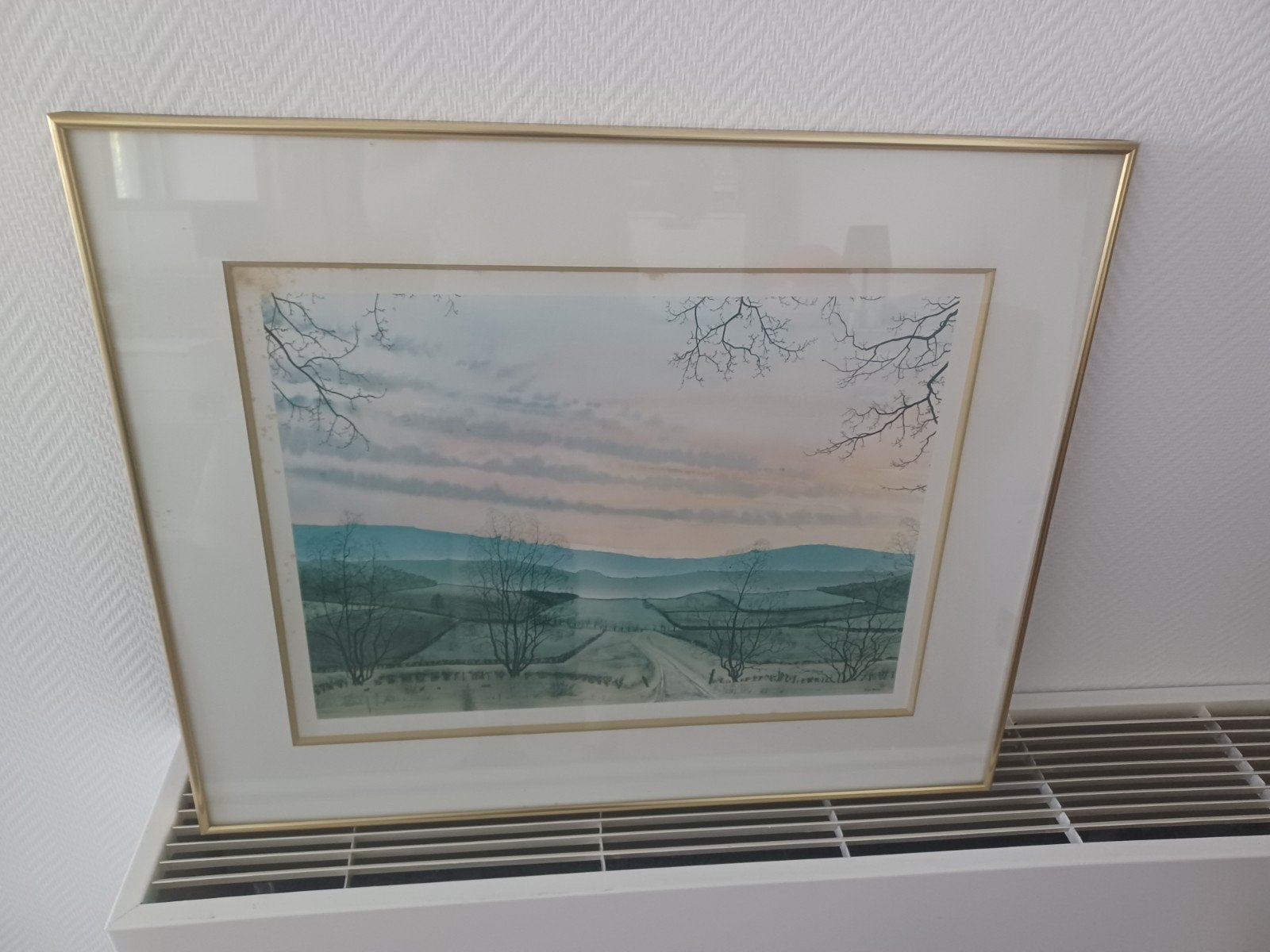 Prent met goudkleurige metalen kader 65,5x53cm, Ophalen