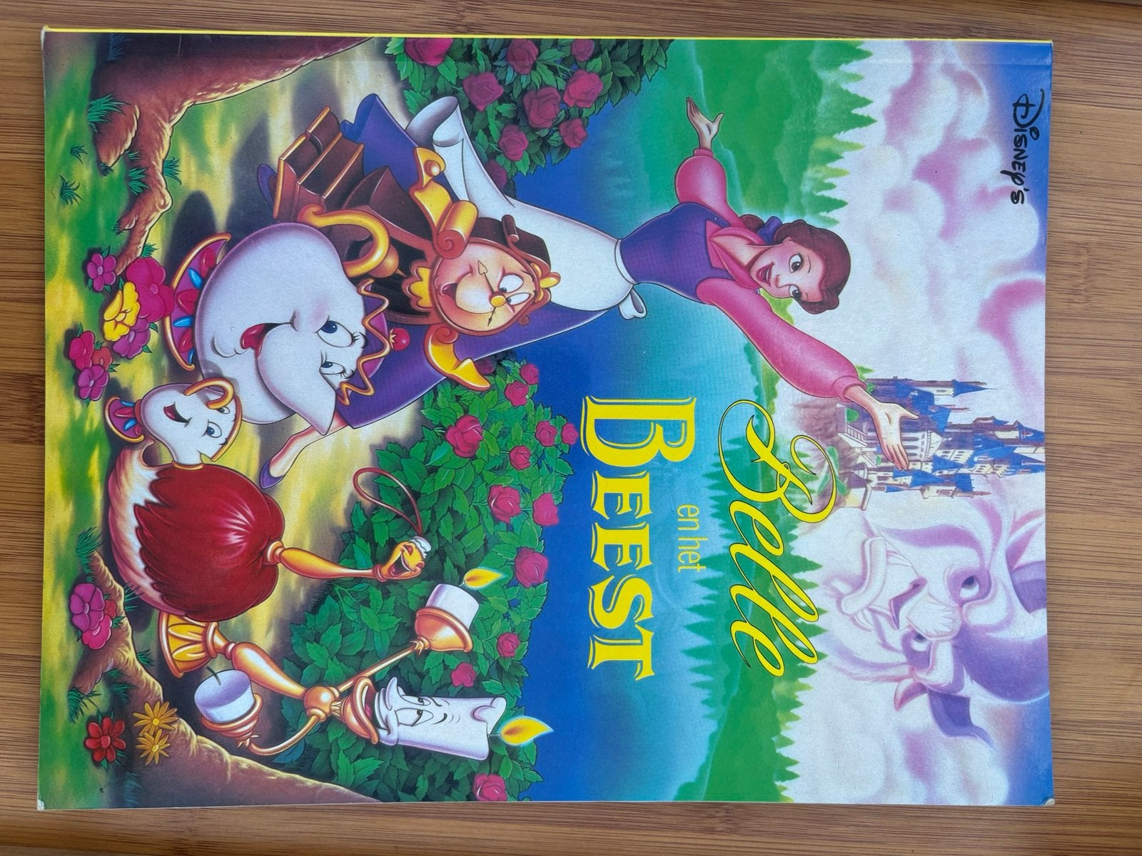 Disney Belle en het Beest, Boeken, Ophalen, Gelezen, Fictie
