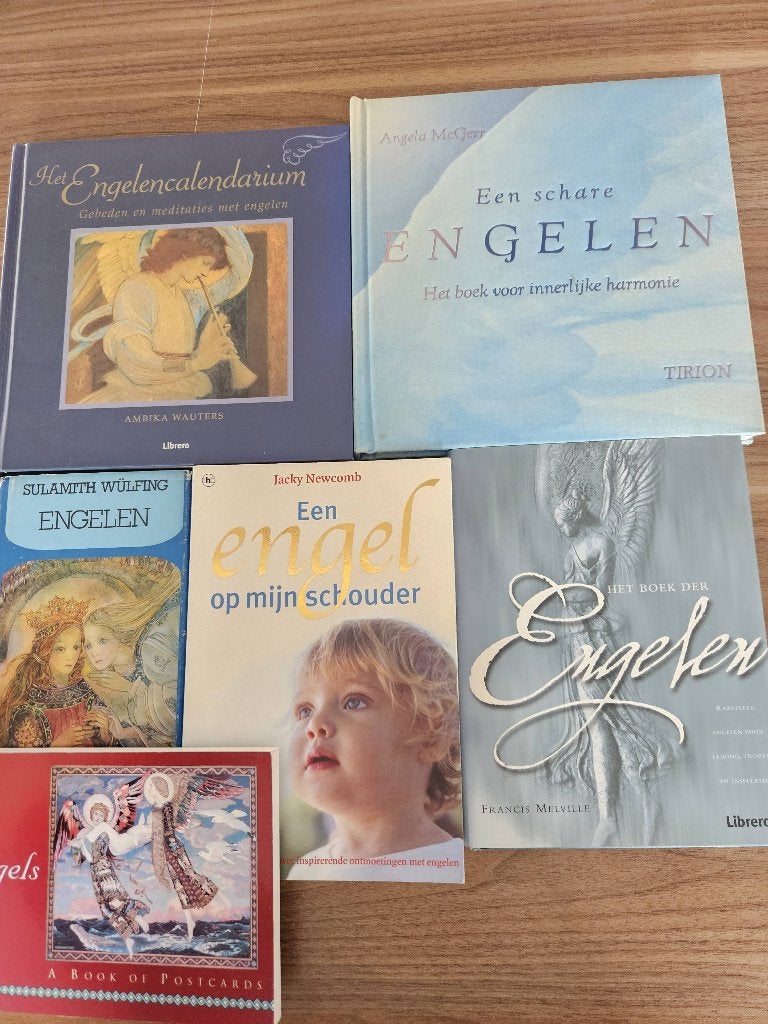 Engelen boeken, Ophalen of Verzenden, Gelezen, Diverse auteurs