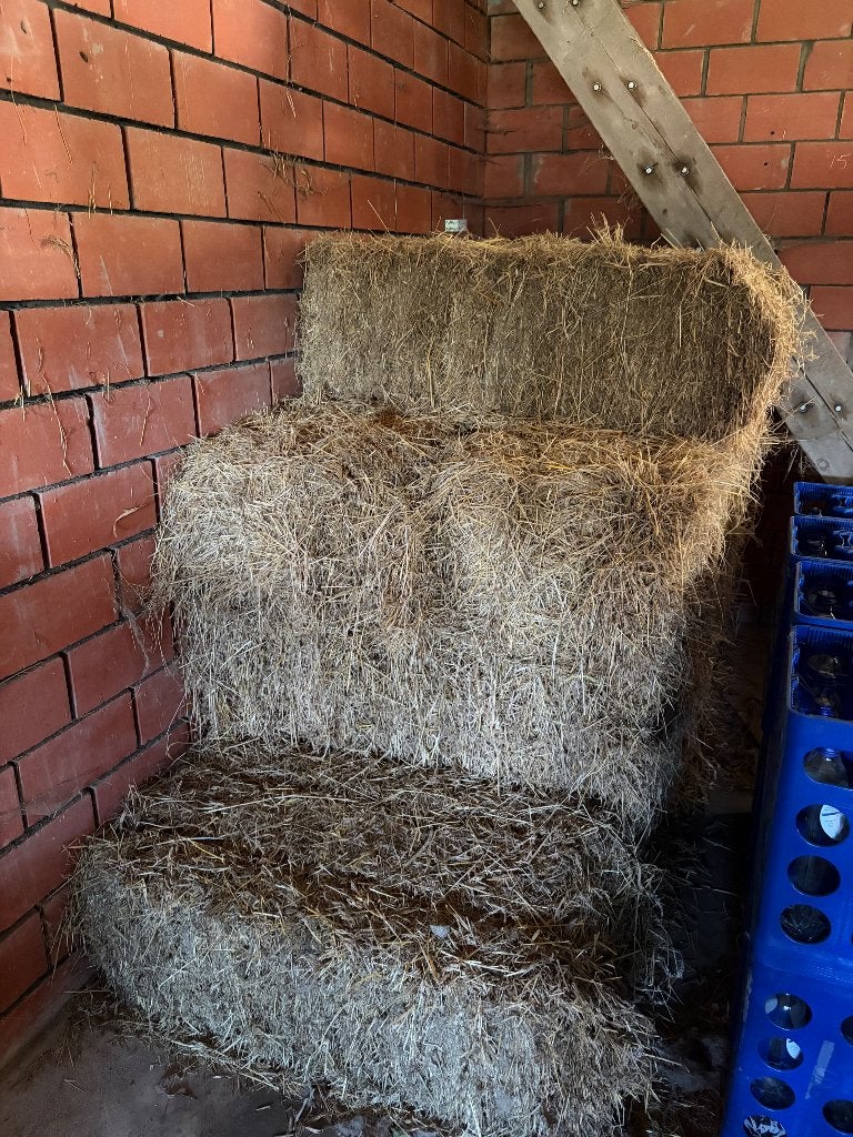 Hooi, Dieren en Toebehoren, Ophalen
