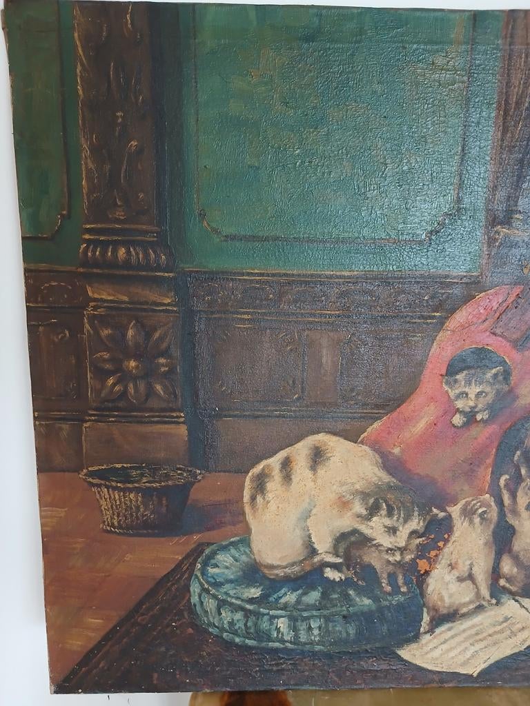 Schilderij poezen, Ophalen of Verzenden
