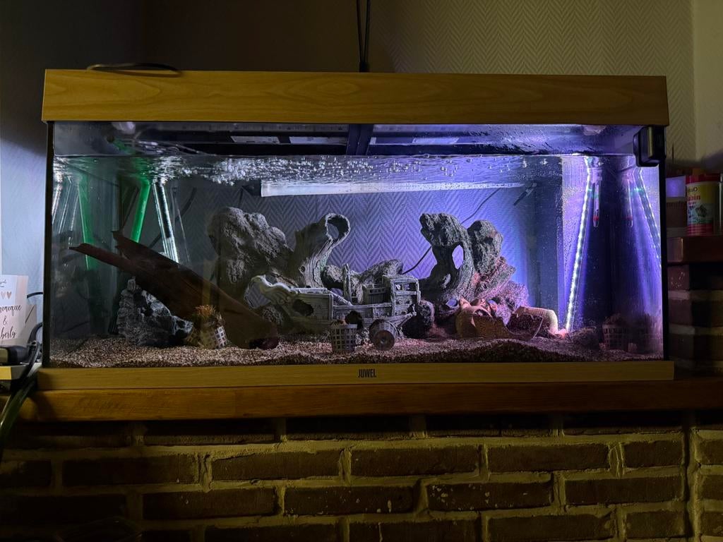 Goed werkende aquarium, Comme neuf, Enlèvement, Chauffage, Juwel