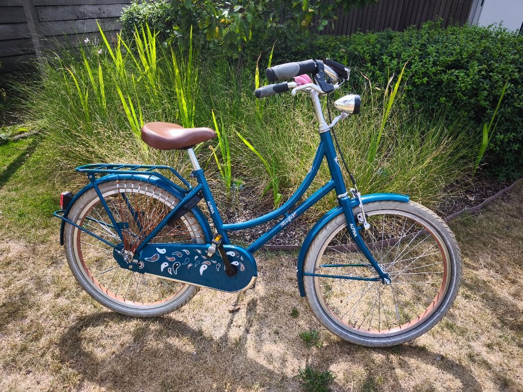 Alpina kinderfiets 22 inch, Fietsen en Brommers, Ophalen, Terugtraprem, 22 inch, Gebruikt