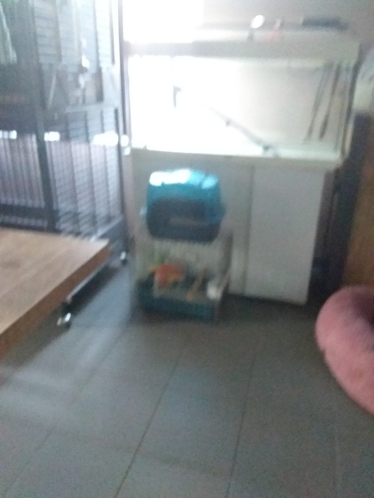 Aquarium