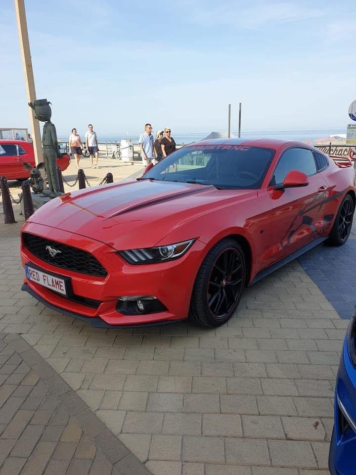 Mustang eco 2016, Autos, Ford USA, Particulier, Mustang, Enlèvement