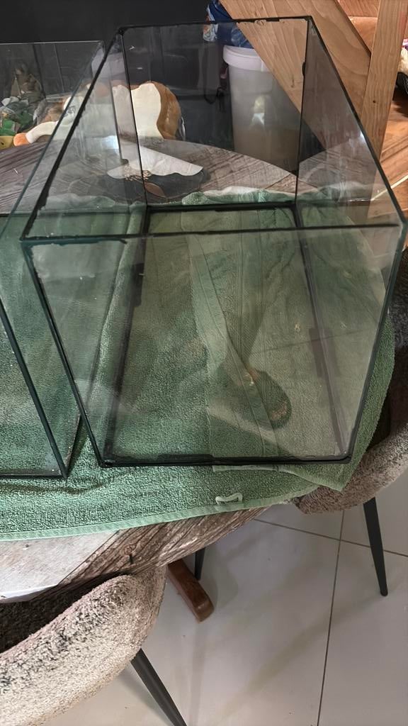 Aquarium, Enlèvement, Comme neuf