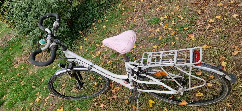 fiets Dames voor student, Fietsen en Brommers, Ophalen, Gebruikt, Velgrem, Versnellingen