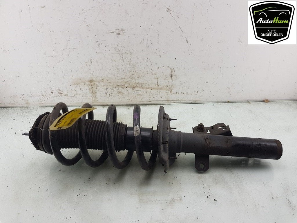 AMORTISSEUR OU ABSORBEUR DE CHOC AVANT GAUCHE Ford Transit, Dhr. J. Ham, Administratie@autoham.nl, Nijkerkerstraat 27a 27a
3821 CD  AMERSFOORT, NL